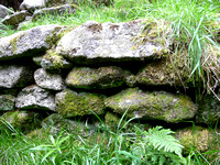 Ballyedmonduff Wedge Tomb