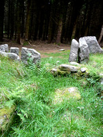 Ballyedmonduff Wedge Tomb